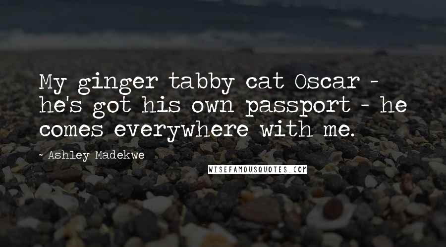 Ashley Madekwe Quotes: My ginger tabby cat Oscar - he's got his own passport - he comes everywhere with me.