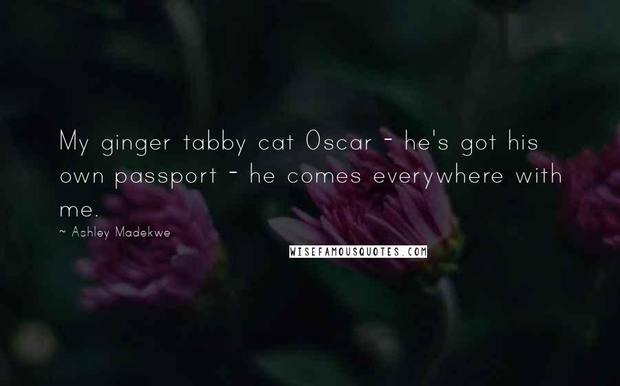 Ashley Madekwe Quotes: My ginger tabby cat Oscar - he's got his own passport - he comes everywhere with me.