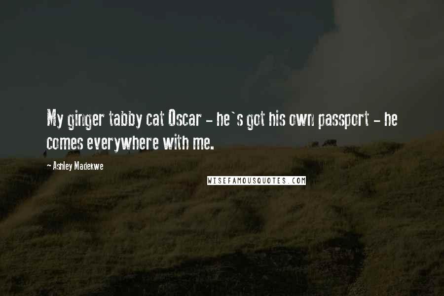 Ashley Madekwe Quotes: My ginger tabby cat Oscar - he's got his own passport - he comes everywhere with me.