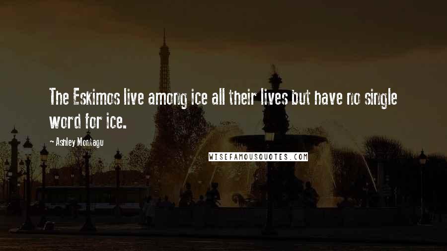 Ashley Montagu Quotes: The Eskimos live among ice all their lives but have no single word for ice.