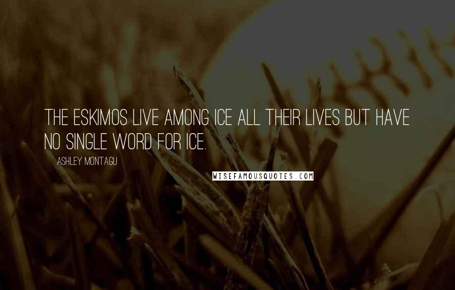 Ashley Montagu Quotes: The Eskimos live among ice all their lives but have no single word for ice.