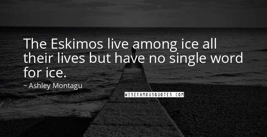 Ashley Montagu Quotes: The Eskimos live among ice all their lives but have no single word for ice.