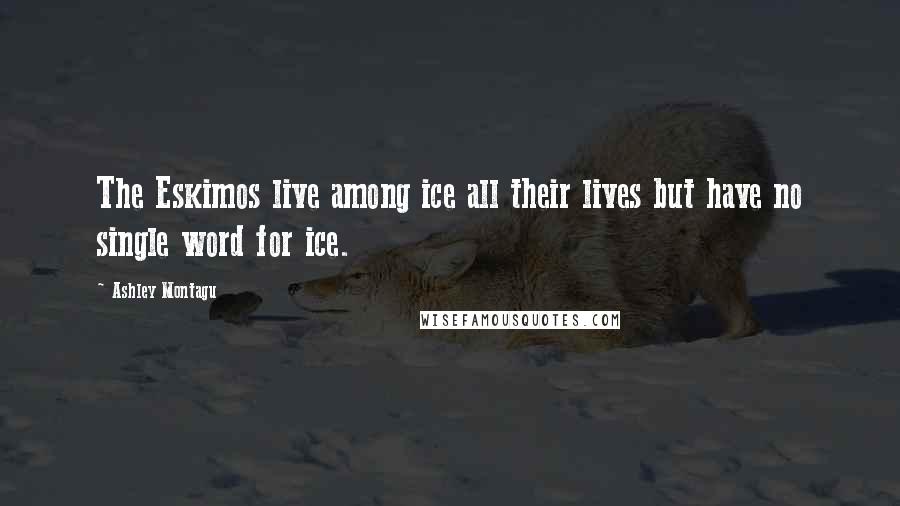 Ashley Montagu Quotes: The Eskimos live among ice all their lives but have no single word for ice.