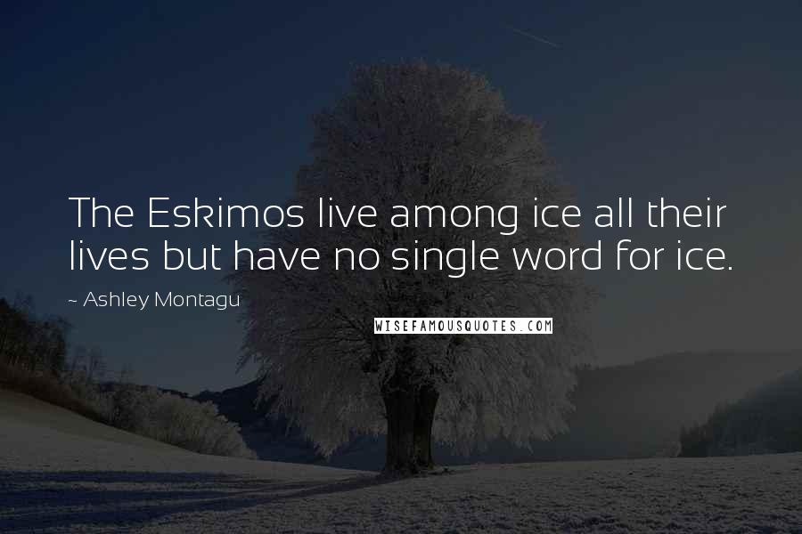 Ashley Montagu Quotes: The Eskimos live among ice all their lives but have no single word for ice.
