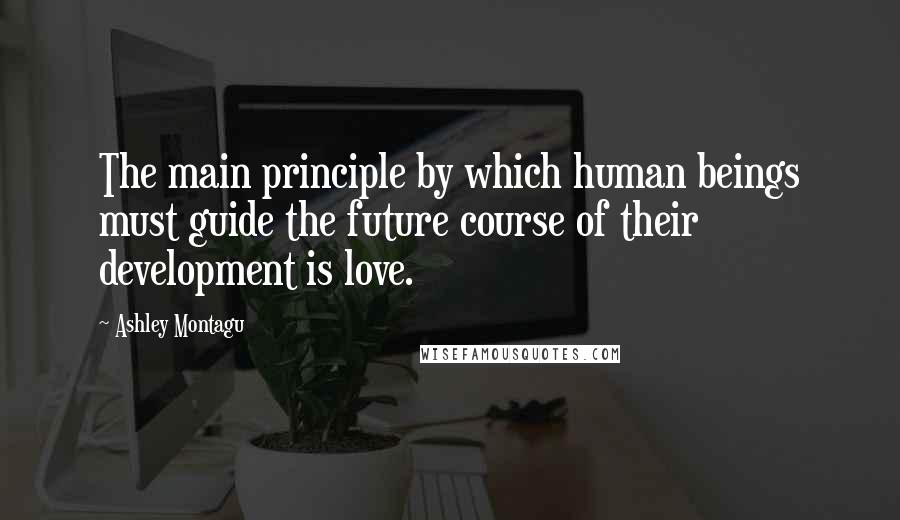 Ashley Montagu Quotes: The main principle by which human beings must guide the future course of their development is love.