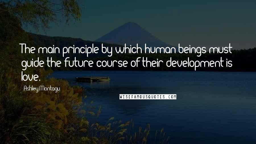 Ashley Montagu Quotes: The main principle by which human beings must guide the future course of their development is love.