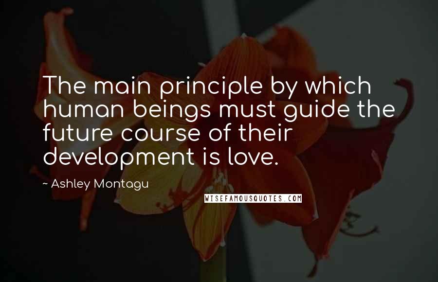 Ashley Montagu Quotes: The main principle by which human beings must guide the future course of their development is love.