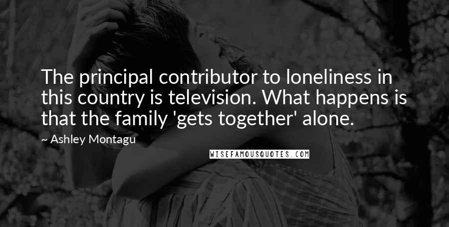 Ashley Montagu Quotes: The principal contributor to loneliness in this country is television. What happens is that the family 'gets together' alone.