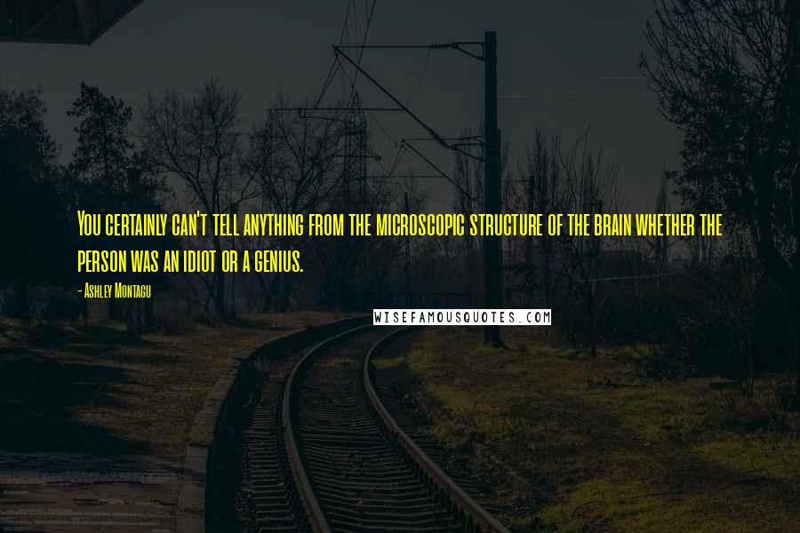 Ashley Montagu Quotes: You certainly can't tell anything from the microscopic structure of the brain whether the person was an idiot or a genius.