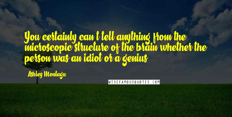 Ashley Montagu Quotes: You certainly can't tell anything from the microscopic structure of the brain whether the person was an idiot or a genius.