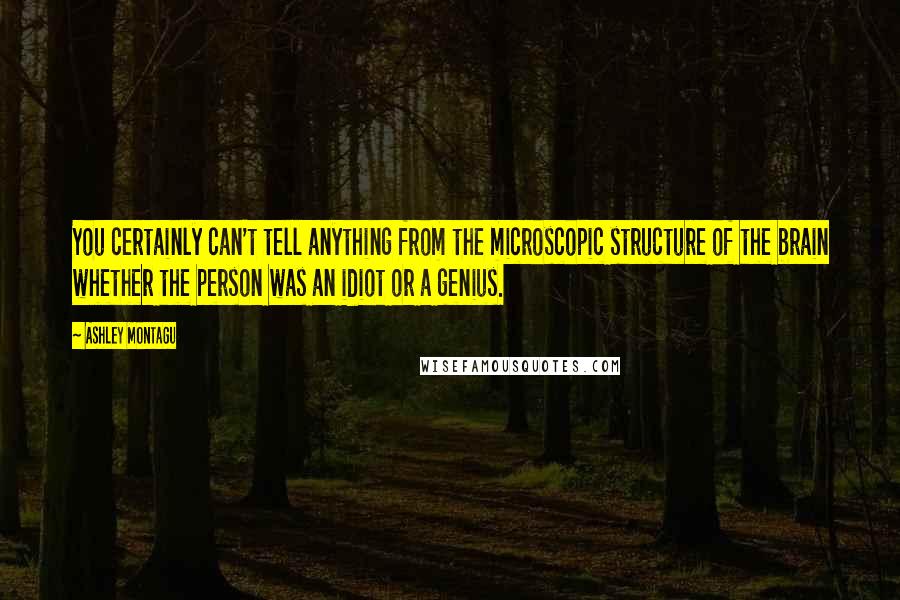 Ashley Montagu Quotes: You certainly can't tell anything from the microscopic structure of the brain whether the person was an idiot or a genius.