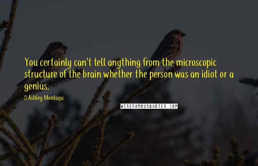 Ashley Montagu Quotes: You certainly can't tell anything from the microscopic structure of the brain whether the person was an idiot or a genius.