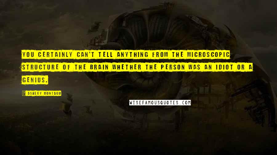 Ashley Montagu Quotes: You certainly can't tell anything from the microscopic structure of the brain whether the person was an idiot or a genius.