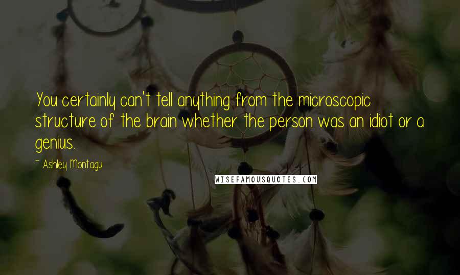 Ashley Montagu Quotes: You certainly can't tell anything from the microscopic structure of the brain whether the person was an idiot or a genius.