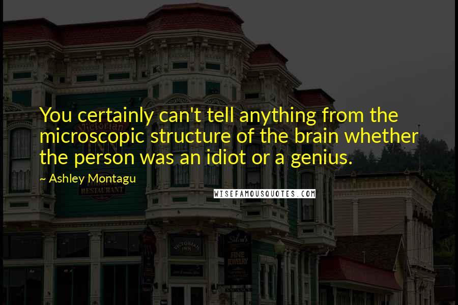 Ashley Montagu Quotes: You certainly can't tell anything from the microscopic structure of the brain whether the person was an idiot or a genius.