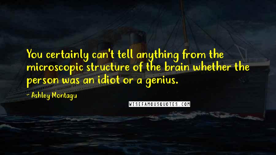 Ashley Montagu Quotes: You certainly can't tell anything from the microscopic structure of the brain whether the person was an idiot or a genius.