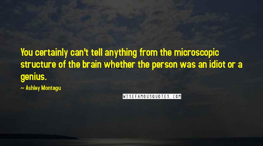 Ashley Montagu Quotes: You certainly can't tell anything from the microscopic structure of the brain whether the person was an idiot or a genius.