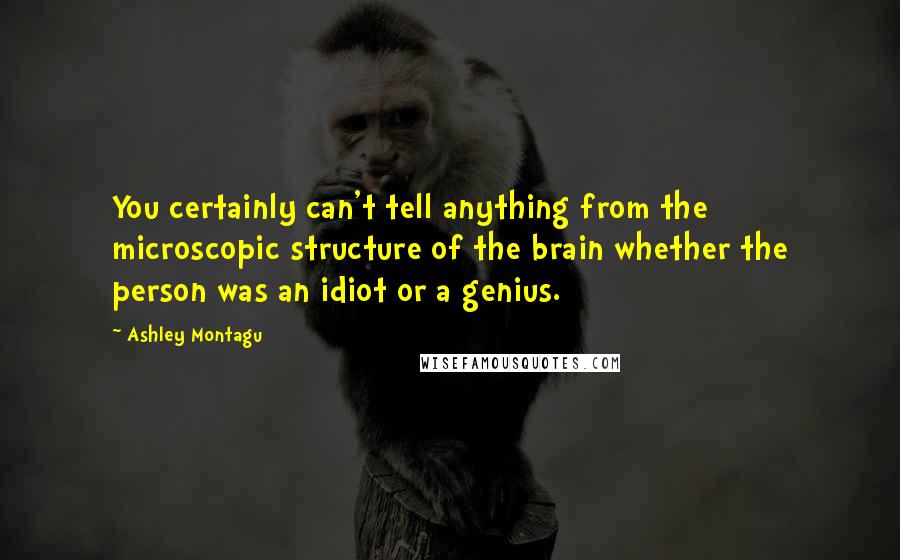 Ashley Montagu Quotes: You certainly can't tell anything from the microscopic structure of the brain whether the person was an idiot or a genius.