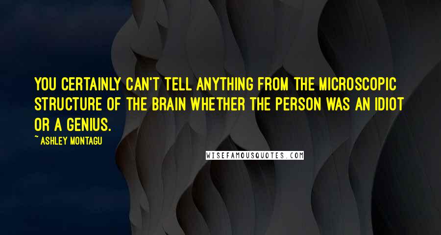 Ashley Montagu Quotes: You certainly can't tell anything from the microscopic structure of the brain whether the person was an idiot or a genius.