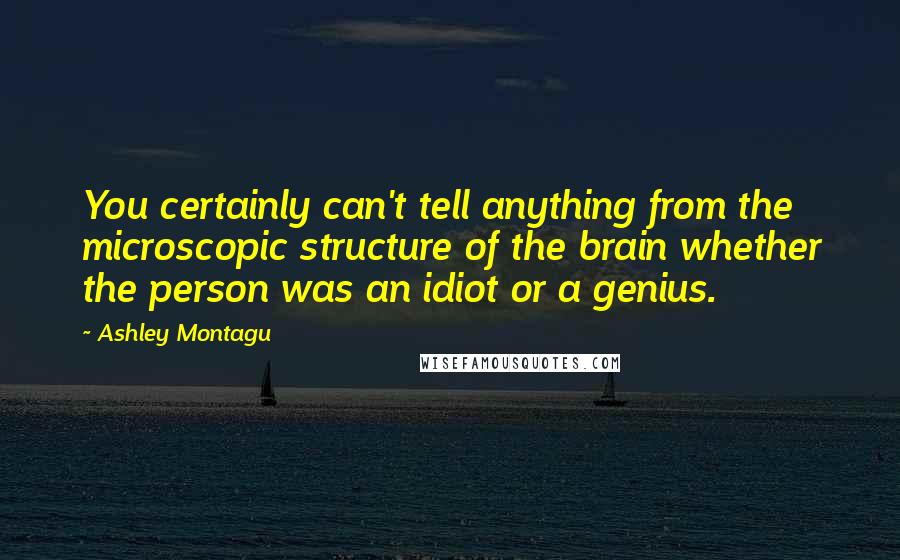 Ashley Montagu Quotes: You certainly can't tell anything from the microscopic structure of the brain whether the person was an idiot or a genius.