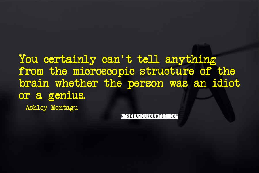 Ashley Montagu Quotes: You certainly can't tell anything from the microscopic structure of the brain whether the person was an idiot or a genius.