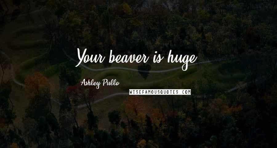 Ashley Pullo Quotes: Your beaver is huge.