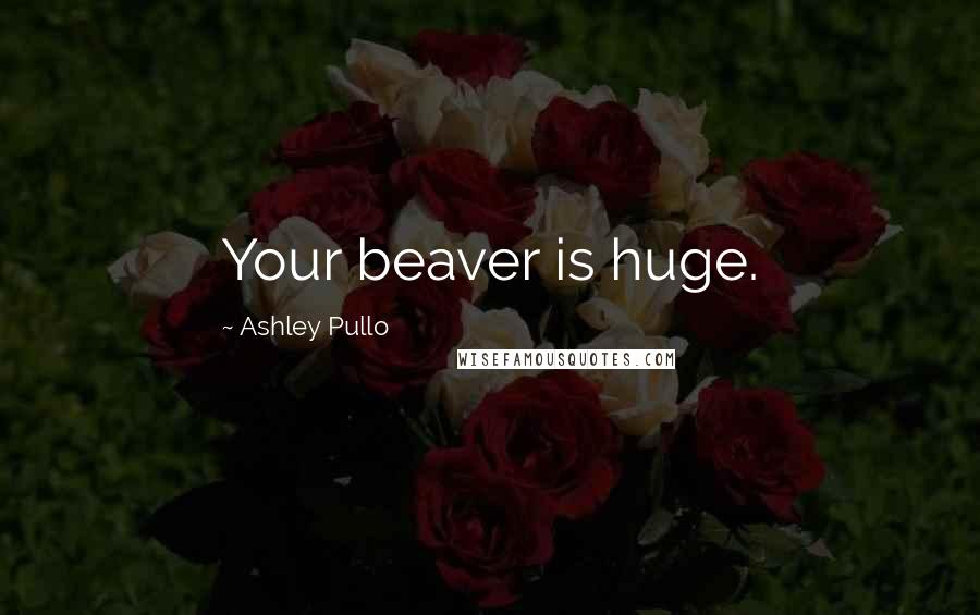 Ashley Pullo Quotes: Your beaver is huge.