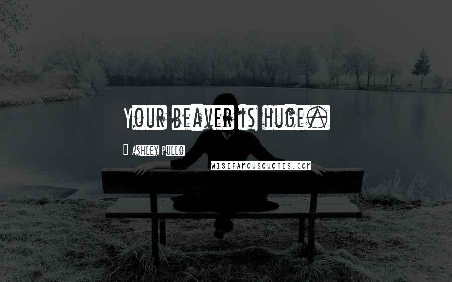 Ashley Pullo Quotes: Your beaver is huge.