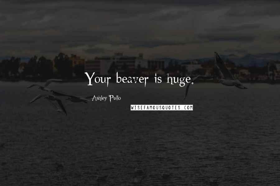 Ashley Pullo Quotes: Your beaver is huge.