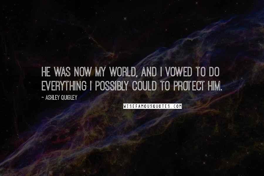 Ashley Quigley Quotes: He was now my world, and I vowed to do everything I possibly could to protect him.