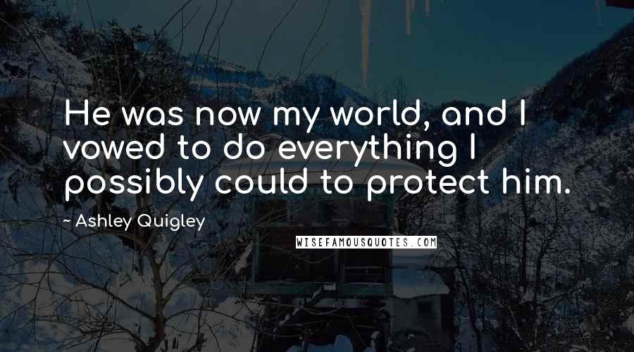 Ashley Quigley Quotes: He was now my world, and I vowed to do everything I possibly could to protect him.