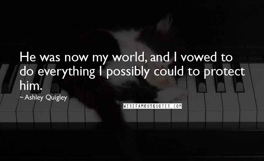 Ashley Quigley Quotes: He was now my world, and I vowed to do everything I possibly could to protect him.