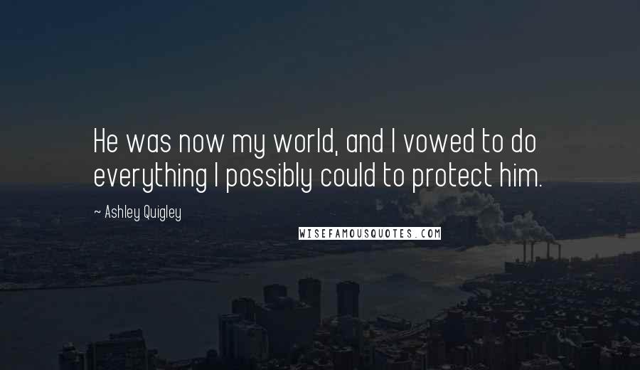 Ashley Quigley Quotes: He was now my world, and I vowed to do everything I possibly could to protect him.