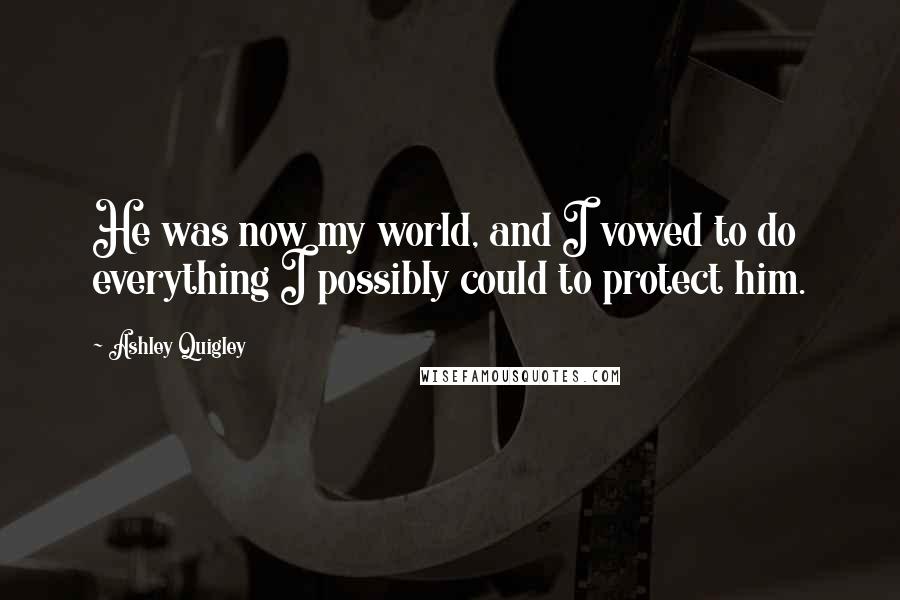 Ashley Quigley Quotes: He was now my world, and I vowed to do everything I possibly could to protect him.