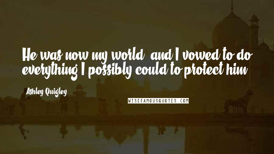 Ashley Quigley Quotes: He was now my world, and I vowed to do everything I possibly could to protect him.