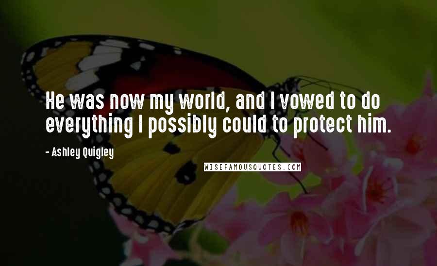 Ashley Quigley Quotes: He was now my world, and I vowed to do everything I possibly could to protect him.