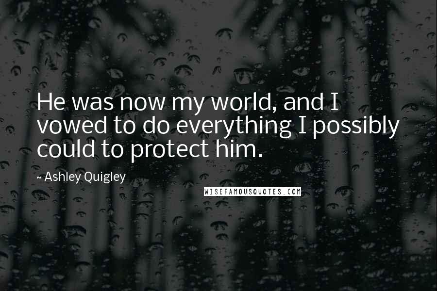 Ashley Quigley Quotes: He was now my world, and I vowed to do everything I possibly could to protect him.