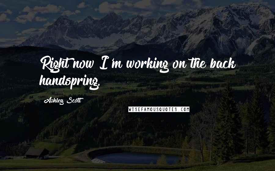 Ashley Scott Quotes: Right now I'm working on the back handspring.
