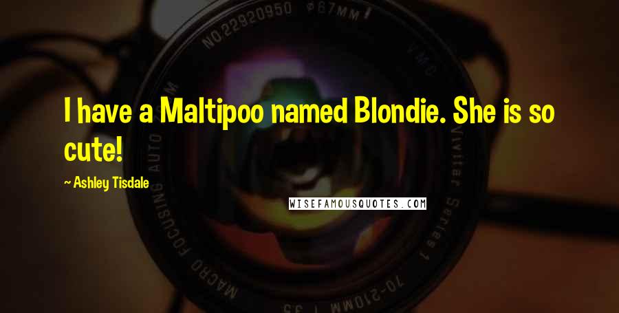 Ashley Tisdale Quotes: I have a Maltipoo named Blondie. She is so cute!