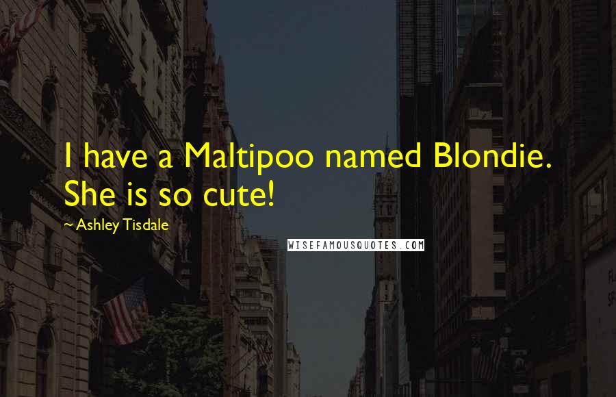 Ashley Tisdale Quotes: I have a Maltipoo named Blondie. She is so cute!