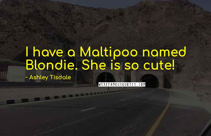 Ashley Tisdale Quotes: I have a Maltipoo named Blondie. She is so cute!