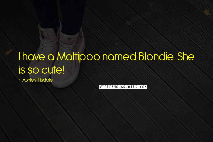 Ashley Tisdale Quotes: I have a Maltipoo named Blondie. She is so cute!