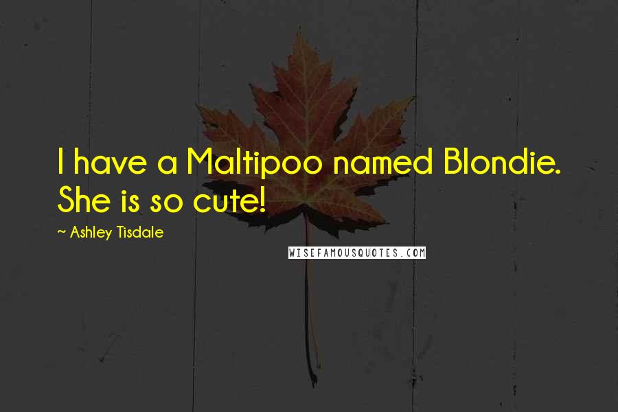 Ashley Tisdale Quotes: I have a Maltipoo named Blondie. She is so cute!