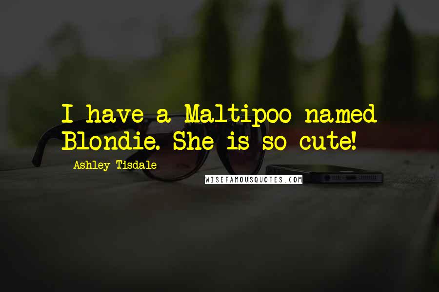 Ashley Tisdale Quotes: I have a Maltipoo named Blondie. She is so cute!