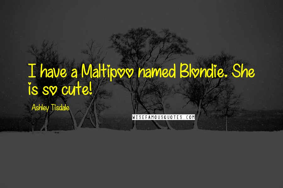 Ashley Tisdale Quotes: I have a Maltipoo named Blondie. She is so cute!