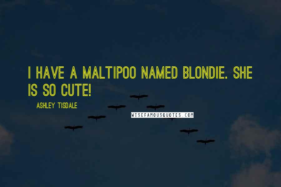 Ashley Tisdale Quotes: I have a Maltipoo named Blondie. She is so cute!