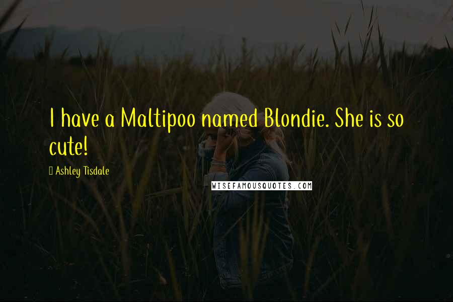 Ashley Tisdale Quotes: I have a Maltipoo named Blondie. She is so cute!