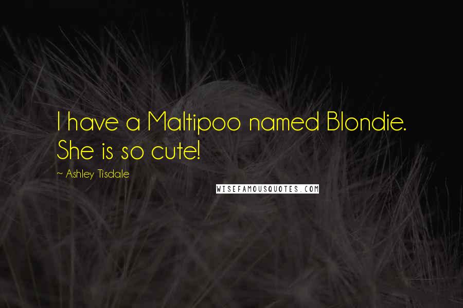 Ashley Tisdale Quotes: I have a Maltipoo named Blondie. She is so cute!