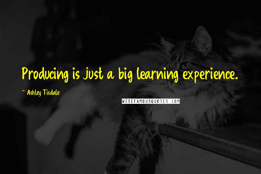 Ashley Tisdale Quotes: Producing is just a big learning experience.