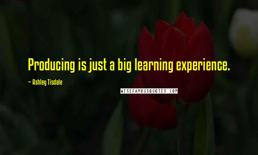 Ashley Tisdale Quotes: Producing is just a big learning experience.